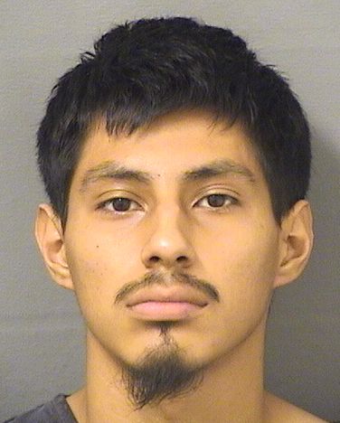  MARTIN MARTIN Results from Palm Beach County Florida for  MARTIN MARTIN