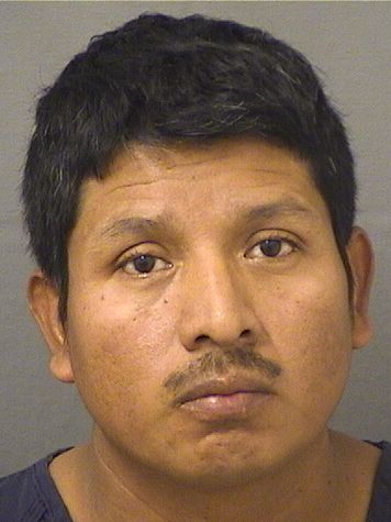  HERIBERTO MORALES RAMIREZ Resultados de la busqueda para Palm Beach County Florida para  HERIBERTO MORALES RAMIREZ