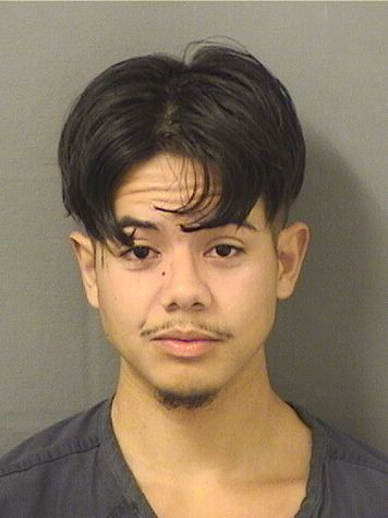  MATTHEW MASTRODO MENICO Results from Palm Beach County Florida for  MATTHEW MASTRODO MENICO