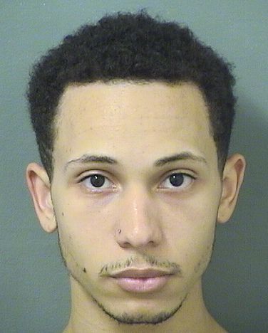  AARON LAZARO FOX Resultados de la busqueda para Palm Beach County Florida para  AARON LAZARO FOX