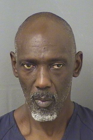  MICHAEL ARNESS WILSON Results from Palm Beach County Florida for  MICHAEL ARNESS WILSON