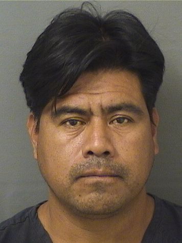  MINOR SARGENTO Photo