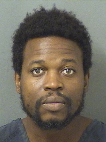  MESMAIN SURPRIS Photo