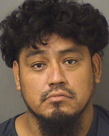  PEDRO JUAN PABLO Results from Palm Beach County Florida for  PEDRO JUAN PABLO