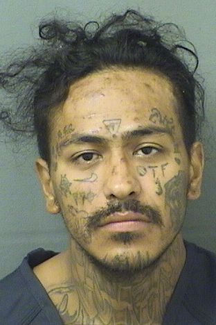  JESSE LUCIANO CAVASOS Resultados de la busqueda para Palm Beach County Florida para  JESSE LUCIANO CAVASOS