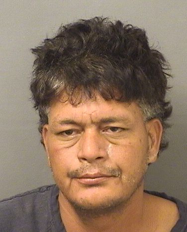  YONE MIRANDA Results from Palm Beach County Florida for  YONE MIRANDA