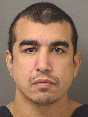  TREVOR RYAN BRIGNONI Photo