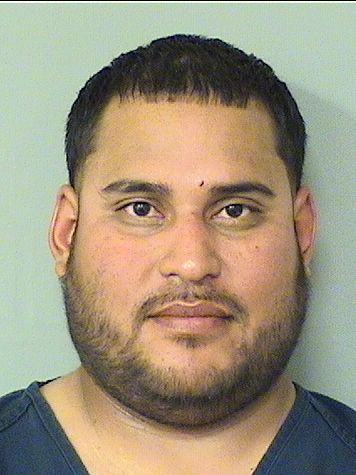  RICARDO NUNEZ Results from Palm Beach County Florida for  RICARDO NUNEZ
