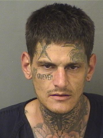  DILLON R KATZ Results from Palm Beach County Florida for  DILLON R KATZ