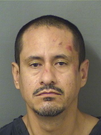  GABRIEL SALAZARMOLINA Photo