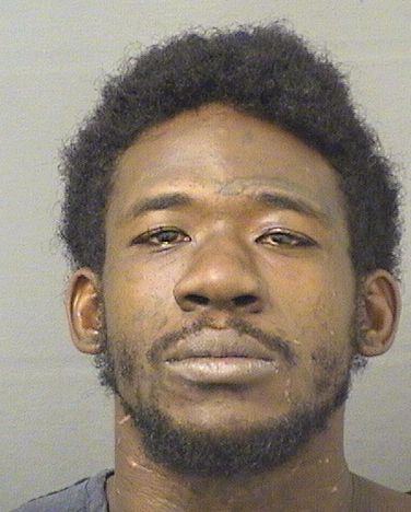  DIANTE AHMAD ROBINSON Results from Palm Beach County Florida for  DIANTE AHMAD ROBINSON