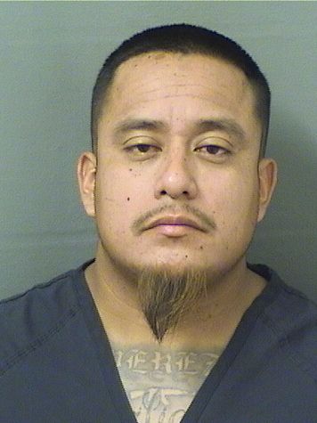  RONNY MORALES PEREZ Photo