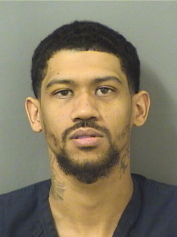  TYRELL LEE DONNALLY Resultados de la busqueda para Palm Beach County Florida para  TYRELL LEE DONNALLY