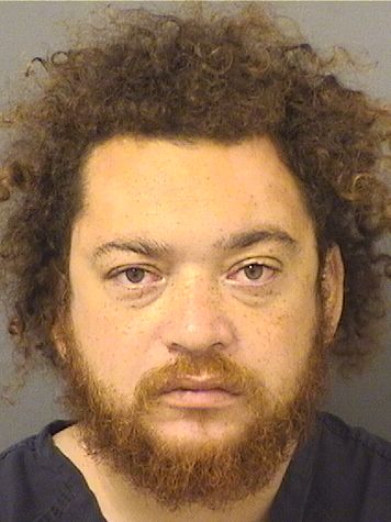  ALEX LEBRON Results from Palm Beach County Florida for  ALEX LEBRON