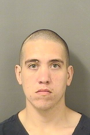  MOHAMMAD MICHAEL MISHAL Resultados de la busqueda para Palm Beach County Florida para  MOHAMMAD MICHAEL MISHAL