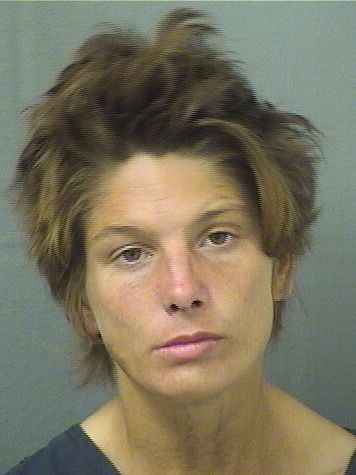  BRIANNA ELIZABETH TILLMAN Results from Palm Beach County Florida for  BRIANNA ELIZABETH TILLMAN