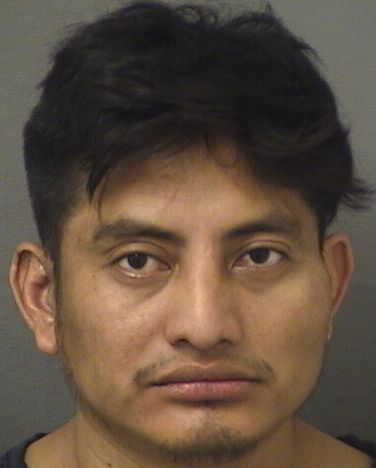  EDGAR WALDEMAR MATEO NOLASCO Results from Palm Beach County Florida for  EDGAR WALDEMAR MATEO NOLASCO