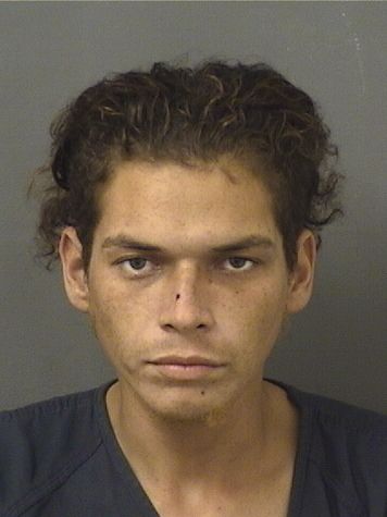  DYLAN ORION MCDOWELL Results from Palm Beach County Florida for  DYLAN ORION MCDOWELL