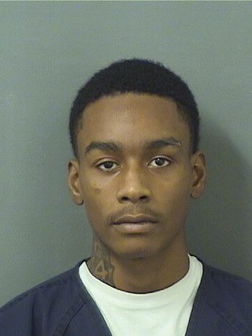  AMMOND MICHAEL IVY Results from Palm Beach County Florida for  AMMOND MICHAEL IVY