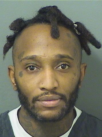  TYLER DONALD MAURICE ANDERSON Resultados de la busqueda para Palm Beach County Florida para  TYLER DONALD MAURICE ANDERSON