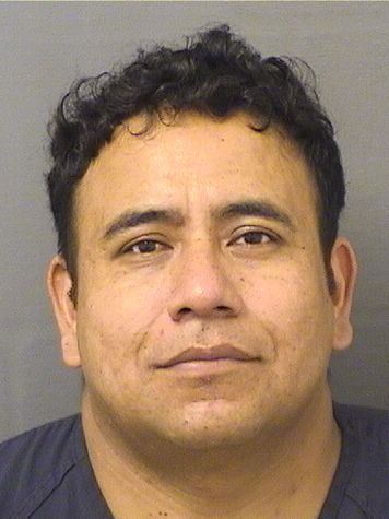  MARCO GOMEZ GONZALEZ Results from Palm Beach County Florida for  MARCO GOMEZ GONZALEZ