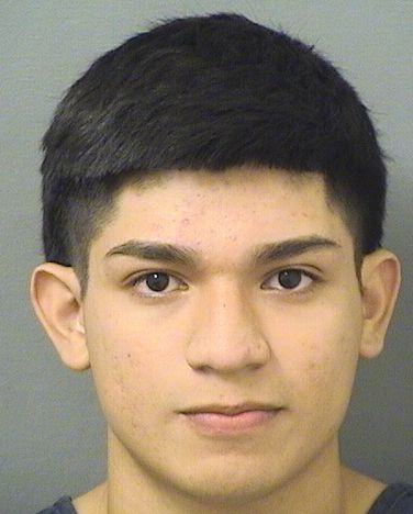  ANTONIO RUIZ VASQUEZ Results from Palm Beach County Florida for  ANTONIO RUIZ VASQUEZ