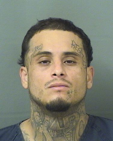  ALEJANDRO BANDA Results from Palm Beach County Florida for  ALEJANDRO BANDA