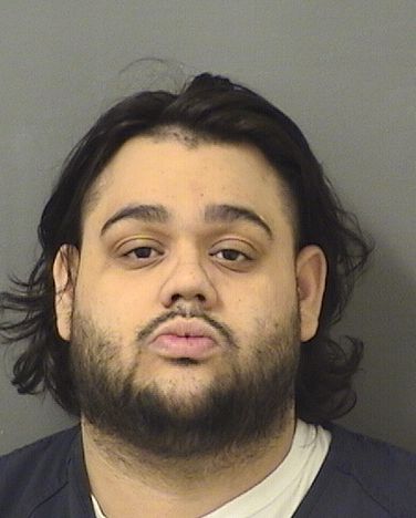  AARON JUSTIN MELENDEZ Results from Palm Beach County Florida for  AARON JUSTIN MELENDEZ