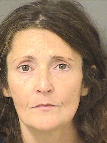  ALAINE SUSAN PEREZ Resultados de la busqueda para Palm Beach County Florida para  ALAINE SUSAN PEREZ