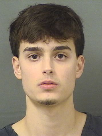  ALEXANDER ZHELEZNYAK Resultados de la busqueda para Palm Beach County Florida para  ALEXANDER ZHELEZNYAK