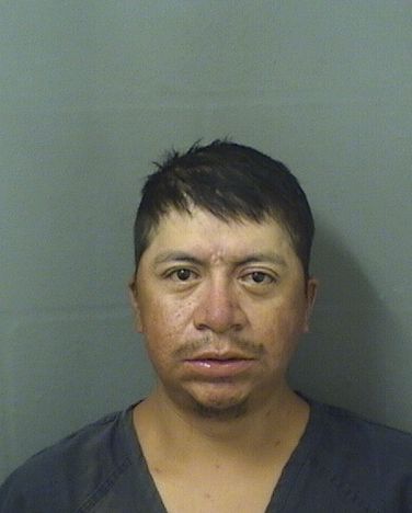  LUIS A GONZALEZ PAXTOR Resultados de la busqueda para Palm Beach County Florida para  LUIS A GONZALEZ PAXTOR