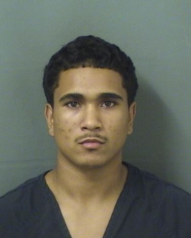  ADRIEN A FELICIANO Resultados de la busqueda para Palm Beach County Florida para  ADRIEN A FELICIANO