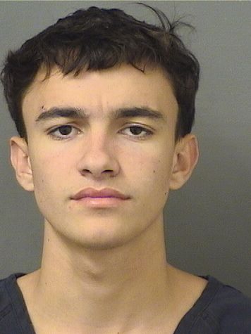  PARKER RYAN ZULCOSKY PRETTELT Resultados de la busqueda para Palm Beach County Florida para  PARKER RYAN ZULCOSKY PRETTELT