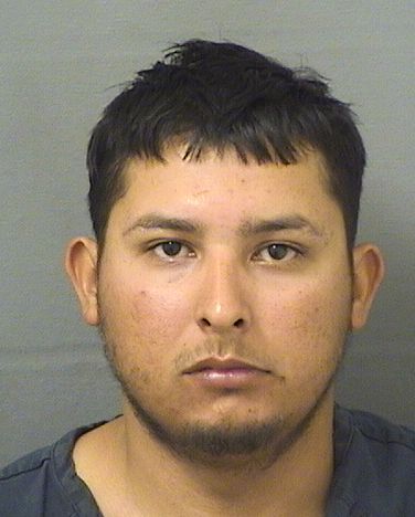  HECTOR MISAEL MOLINA AMAYA Results from Palm Beach County Florida for  HECTOR MISAEL MOLINA AMAYA