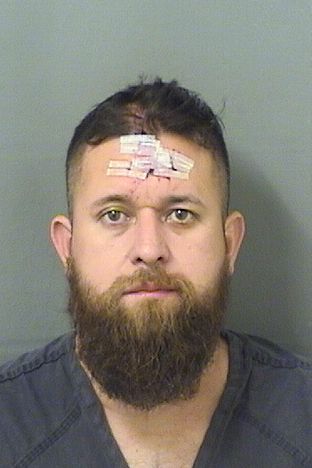  BRINER L FIGUEROA Results from Palm Beach County Florida for  BRINER L FIGUEROA