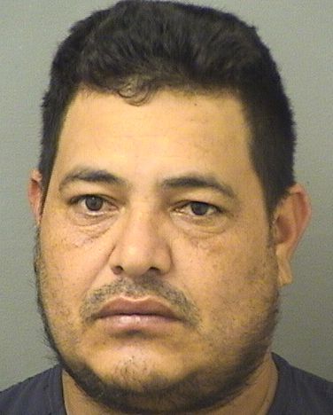  ANGEL FAUSTINO HERRERA MENCIA Results from Palm Beach County Florida for  ANGEL FAUSTINO HERRERA MENCIA