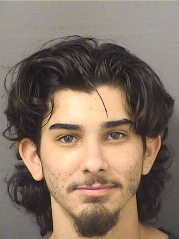  DAMIEN T PENA Results from Palm Beach County Florida for  DAMIEN T PENA