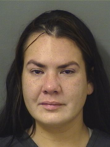  LOGAN BLYTHE AMICK Results from Palm Beach County Florida for  LOGAN BLYTHE AMICK