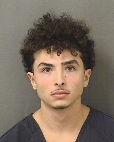  CHRISTOPHER MAX POLIN Photo