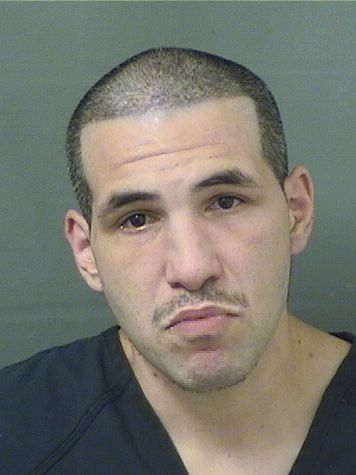  DOMENICK ZINGALE Photo