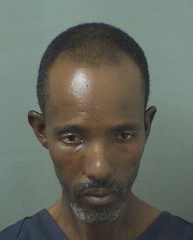  FERDILE COURAGE Photo