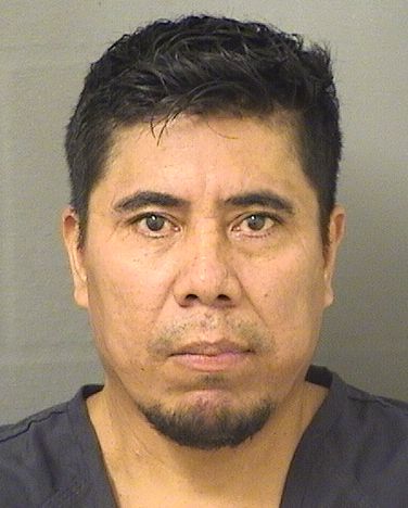  HARRY A MAYORGA MARTINEZ Results from Palm Beach County Florida for  HARRY A MAYORGA MARTINEZ