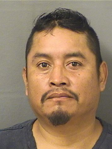  ALEJANDRO GUERRARODRIGUEZ Resultados de la busqueda para Palm Beach County Florida para  ALEJANDRO GUERRARODRIGUEZ