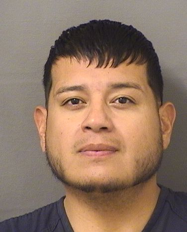  JESSE MARTINEZ BUSTAMANTE Results from Palm Beach County Florida for  JESSE MARTINEZ BUSTAMANTE