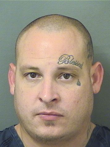  TYLER SMALDONE Photo