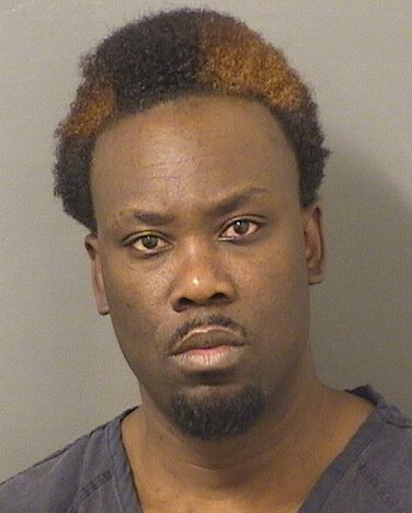  BLAISE ROMAIN Results from Palm Beach County Florida for  BLAISE ROMAIN