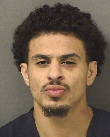  WILLIAM MCKINLEY SHEPPARD III Results from Palm Beach County Florida for  WILLIAM MCKINLEY SHEPPARD III