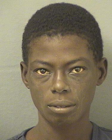  ABYSSINIA ANDREW Resultados de la busqueda para Palm Beach County Florida para  ABYSSINIA ANDREW