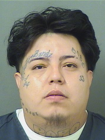  JOSE A SANCHEZ Resultados de la busqueda para Palm Beach County Florida para  JOSE A SANCHEZ