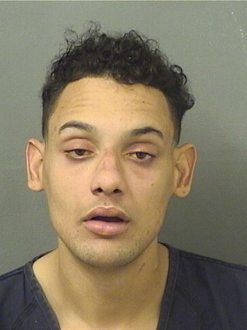  TOMAS XAVIER COLLIER Photo